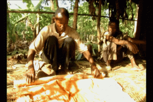 The Documentation of Bark-cloth making: An endangered cultural activity among the Baganda
